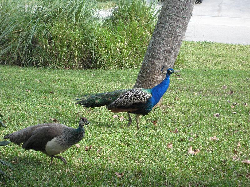 Picture 003